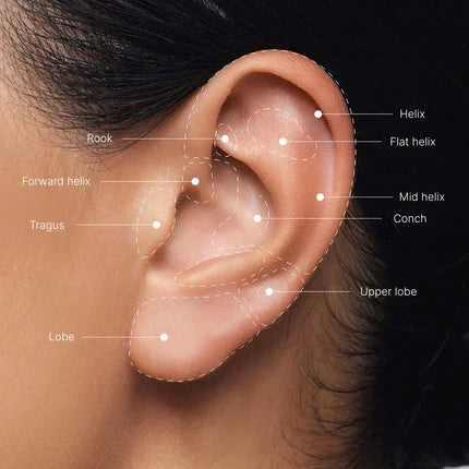 Which ear piercing hurts the least