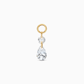 Remi Charm