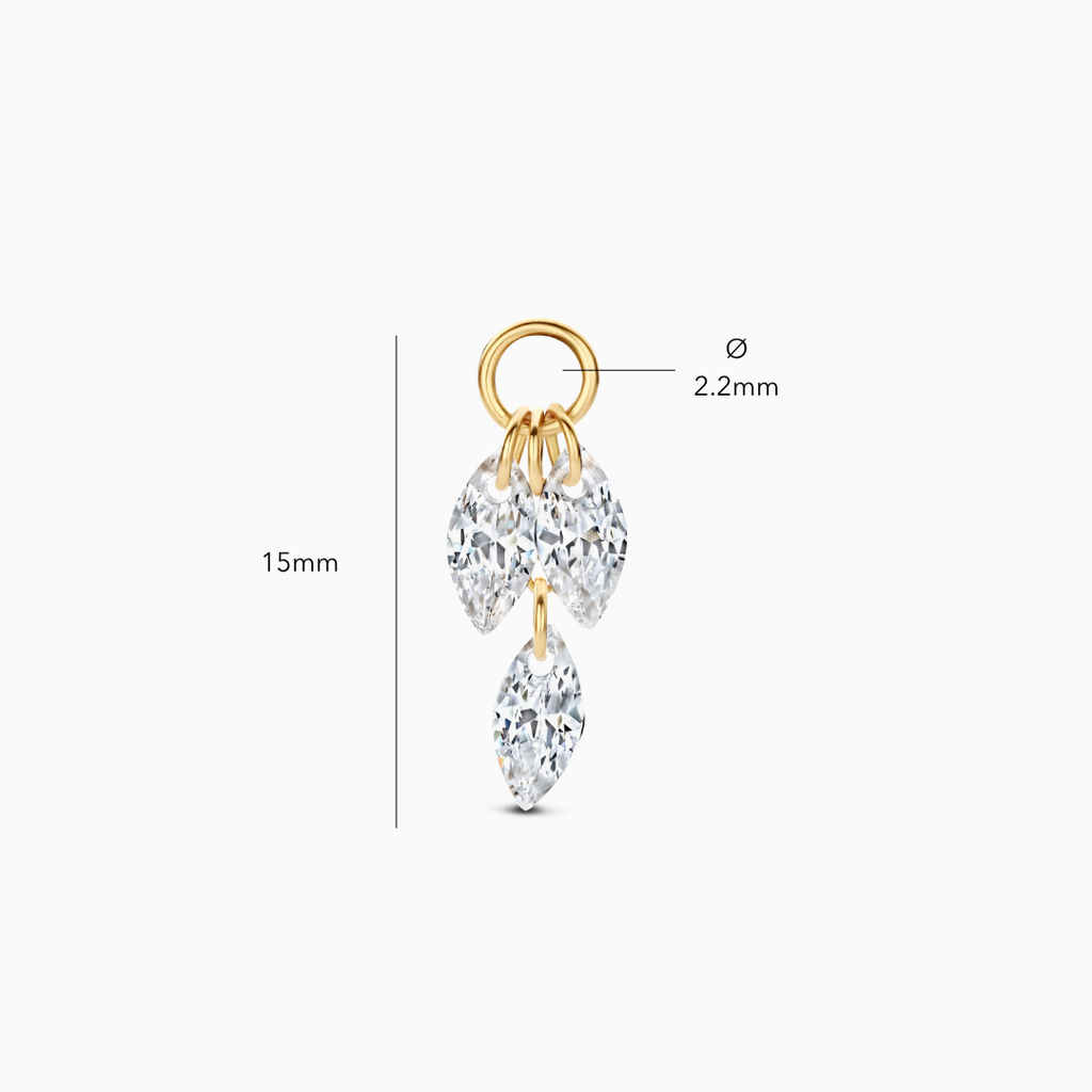 Dean Charm
